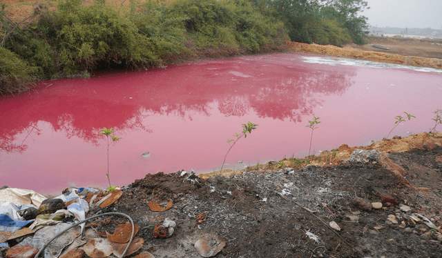 土壤里重金屬的來源