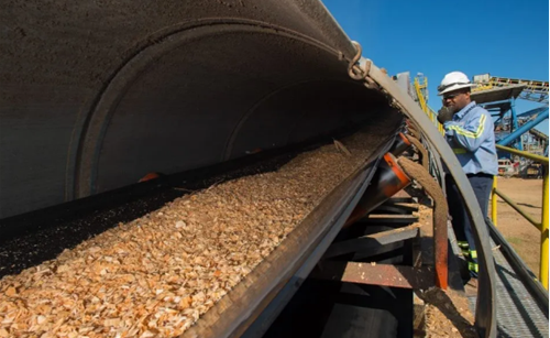 中國(guó)的生物質(zhì)能行業(yè)有哪些破局的方向和可能