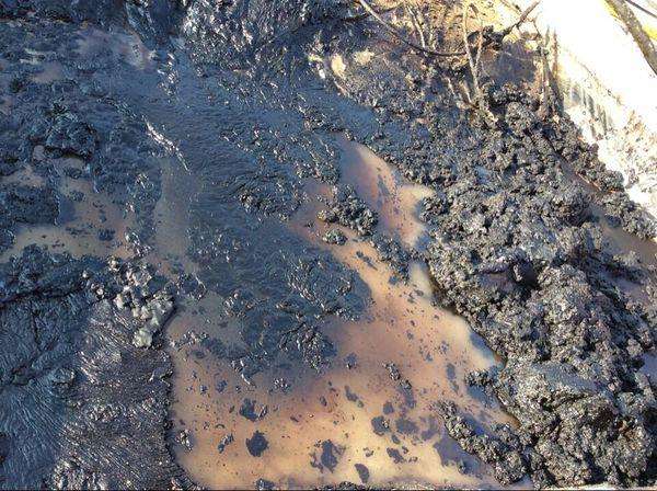 石油污染土壤的現(xiàn)狀